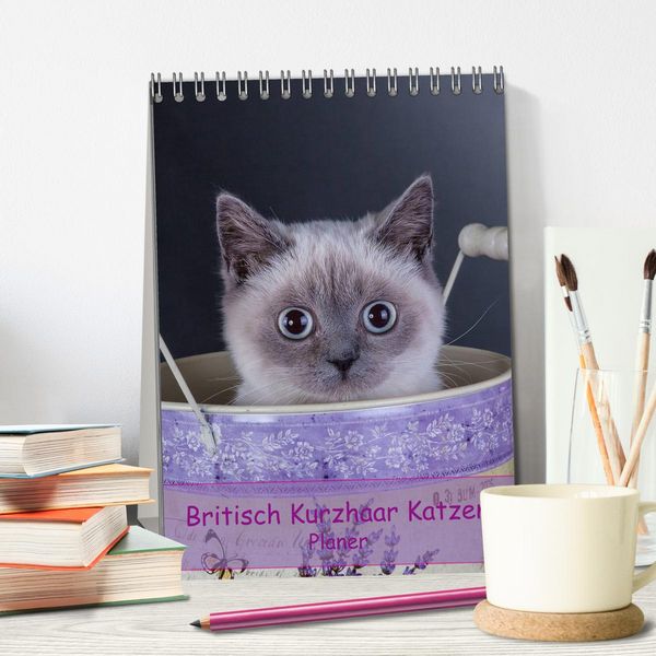 Produktbild: Britisch Kurzhaar Katzen - Planer (Tischkalender 2026 DIN A5 hoch), CALVENDO Monatskalender