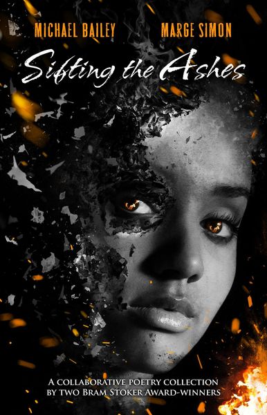 Produktbild: Sifting the Ashes