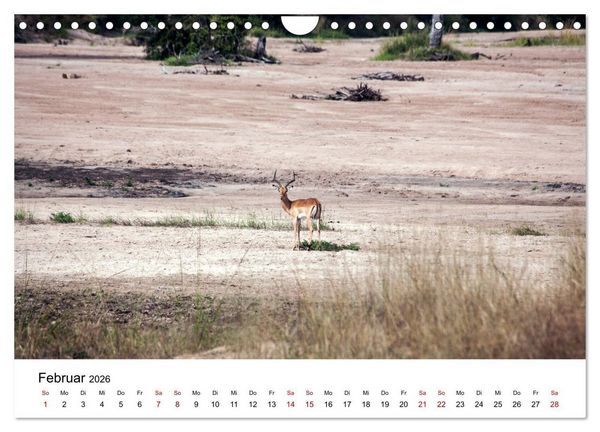 Produktbild: Sambia und der Sambesi (Wandkalender 2026 DIN A4 quer), CALVENDO Monatskalender