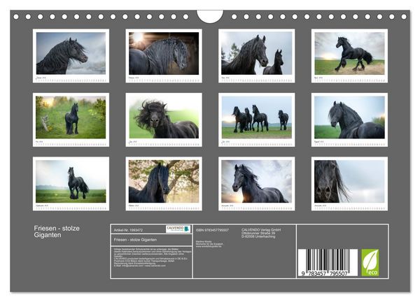 Produktbild: Friesen - stolze Giganten (Wandkalender 2026 DIN A4 quer), CALVENDO Monatskalender