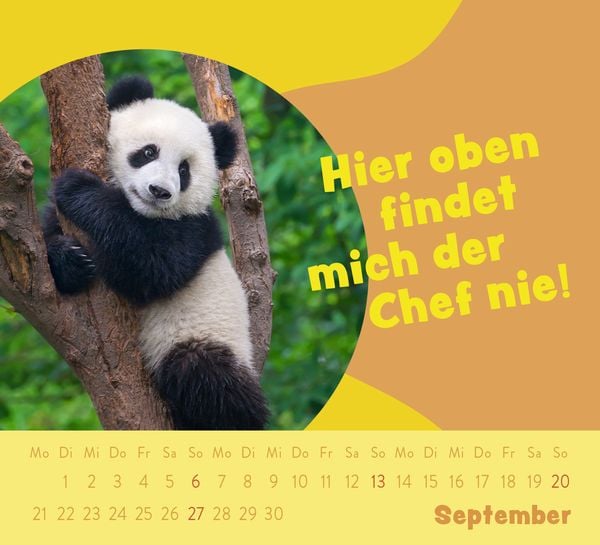 Produktbild: Mini-Kalender 2026: Der kleine Tierisch gechillt! Kalender