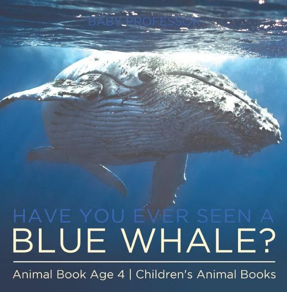 Produktbild: Have You Ever Seen A Blue Whale? Animal Book Age 4 | Children's Animal Books