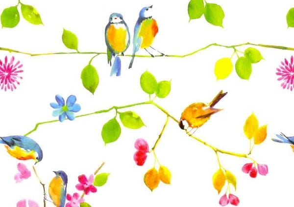 Produktbild: Watercolor Birds Note Cards