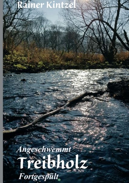 Angeschwemmt - Treibholz, Taschenbuch von Rainer Kintzel, Tredition, 9783748204015
