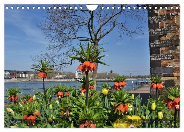 Produktbild: Koblenz Die Stadt am Deutschen Eck (Wandkalender 2027 DIN A4 quer), CALVENDO Monatskalender