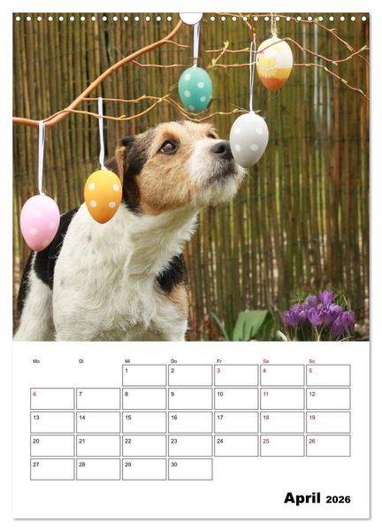 Produktbild: Tender Fellows - Parson Russell Terrier (Wandkalender 2026 DIN A3 hoch), CALVENDO Monatskalender