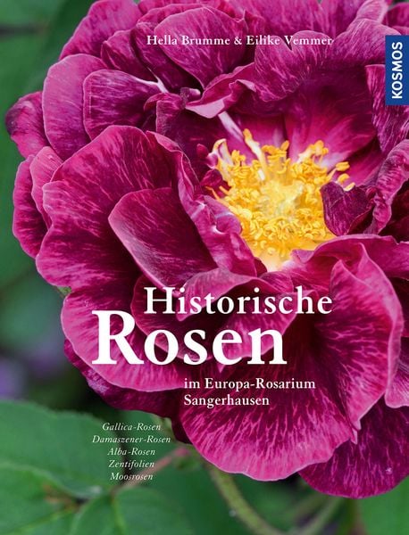 Historische Rosen Band 1, Gebundene Ausgabe von Hella Brumme , Eilike Vemmer, Franckh-Kosmos, 9783440168578