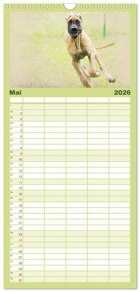 Produktbild: Familienplaner 2026 - Hundewelpen 2026 mit 5 Spalten (Wandkalender, 21 x 45 cm) CALVENDO