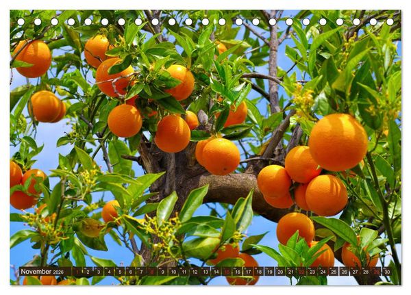 Produktbild: Costa del Azahar - K&uuml;ste der Orangenbl&uuml;te (Tischkalender 2026 DIN A5 quer), CALVENDO Monatskalender