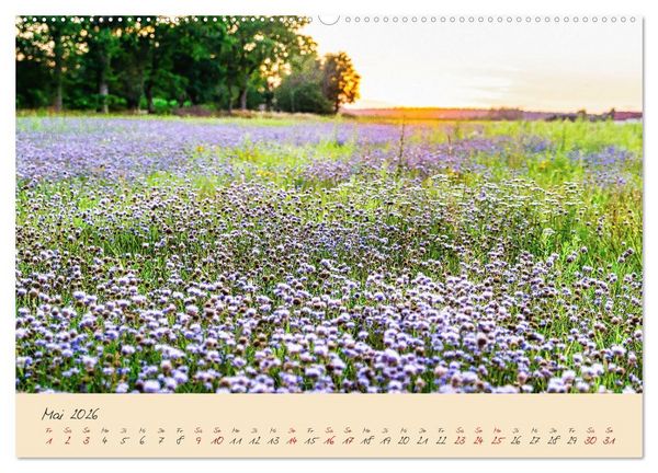 Produktbild: Friedl&auml;nder Gro&szlig;e Wiese (hochwertiger Premium Wandkalender 2026 DIN A2 quer), Kunstdruck in Hochglanz