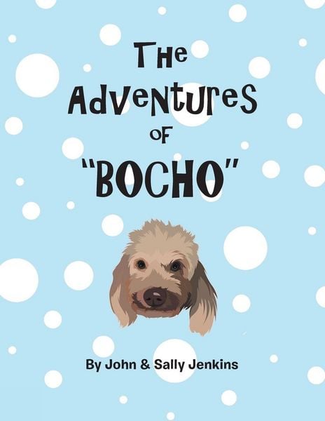 Produktbild: The Adventures of Bocho