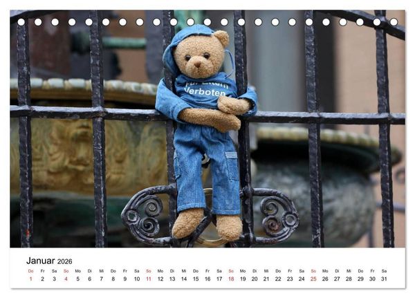 Produktbild: Teddys...jeder liebt sie (Tischkalender 2026 DIN A5 quer), CALVENDO Monatskalender
