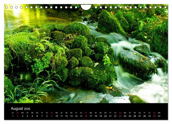 Produktbild: Geheimnisvolle B&auml;che und Fl&uuml;sse (Wandkalender 2026 DIN A4 quer), CALVENDO Monatskalender