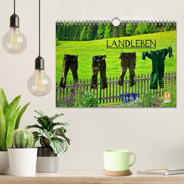 Produktbild: Landleben (Wandkalender 2026 DIN A4 quer), CALVENDO Monatskalender