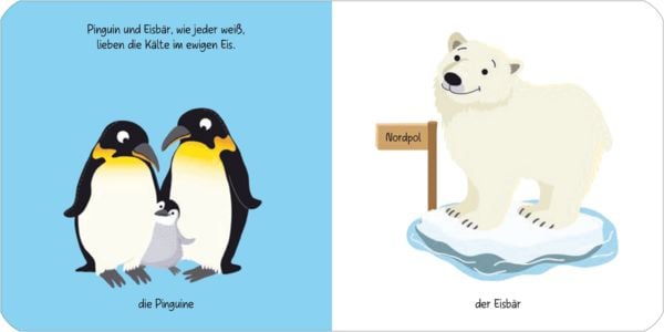 Produktbild: Kennst du das? Babys erstes Bildw&ouml;rterbuch. Jeden Tag ein neues Tier
