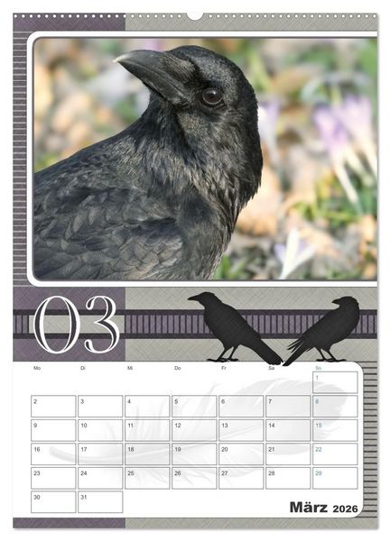 Produktbild: Kr&auml;hen - Clever notiert! Mit K&ouml;pfchen durchs ganze Jahr (hochwertiger Premium Wandkalender 2026 DIN A2 hoch), Kunstdruck in Hochglanz