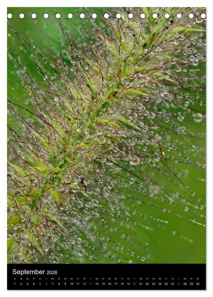 Produktbild: Kunst in der Natur (Tischkalender 2026 DIN A5 hoch), CALVENDO Monatskalender