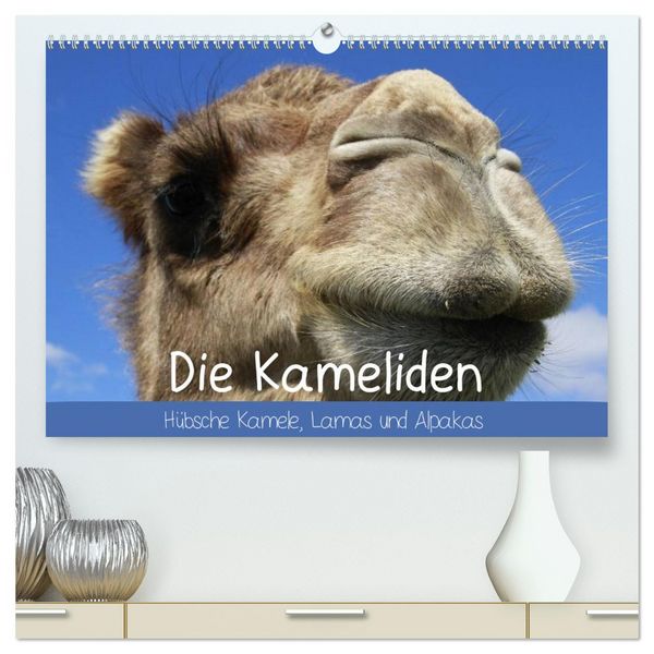 Produktbild: Die Kameliden. H&uuml;bsche Kamele, Lamas und Alpakas (hochwertiger Premium Wandkalender 2026 DIN A2 quer), Kunstdruck in Hochglanz