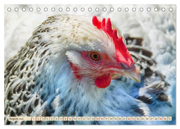 Produktbild: Charmante H&uuml;hner (Tischkalender 2026 DIN A5 quer), CALVENDO Monatskalender