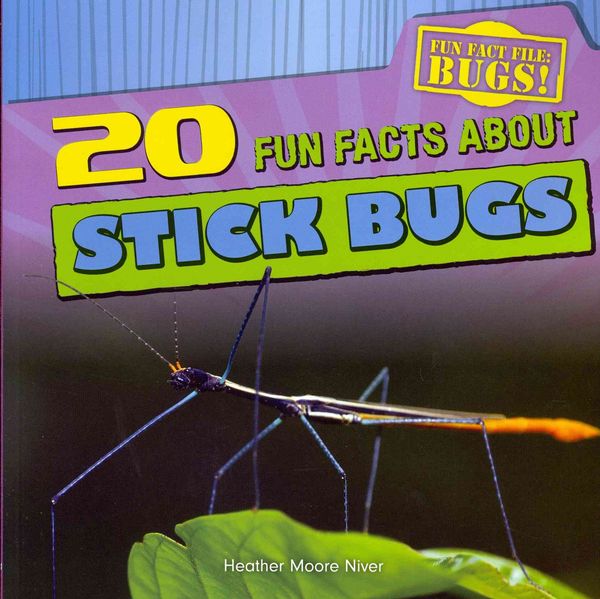 Produktbild: 20 Fun Facts about Stick Bugs