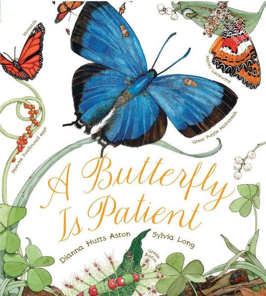 Produktbild: A Butterfly Is Patient