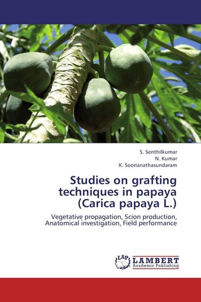 Produktbild: Studies on grafting techniques in papaya (Carica papaya L.)