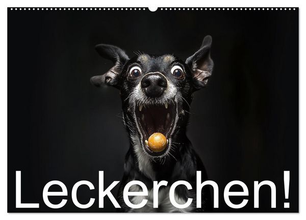 Produktbild: Leckerchen! (Wandkalender 2026 DIN A2 quer), CALVENDO Monatskalender