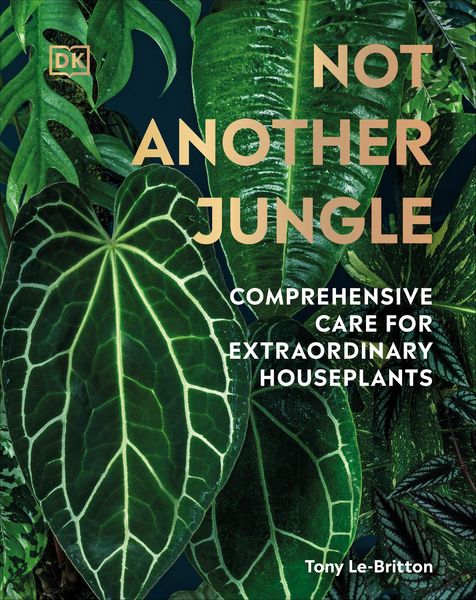 Produktbild: Not Another Jungle