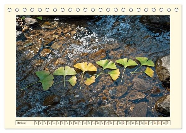 Produktbild: Gestaltete Stille - Wo die Natur zur Skulptur wird (Tischkalender 2027 DIN A5 quer), CALVENDO Monatskalender