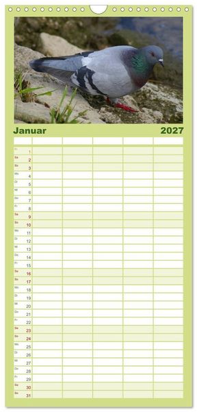 Produktbild: Familienplaner 2027 - Tauben in der Stadt mit 5 Spalten (Wandkalender, 21 x 45 cm) CALVENDO