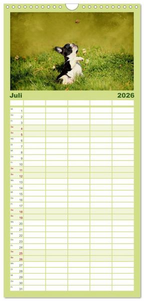 Produktbild: Familienplaner 2026 - Franz&ouml;sische Bulldoggen mit 5 Spalten (Wandkalender, 21 x 45 cm) CALVENDO