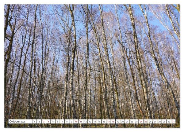 Produktbild: Herdorf im Hellertal (Wandkalender 2026 DIN A2 quer), CALVENDO Monatskalender