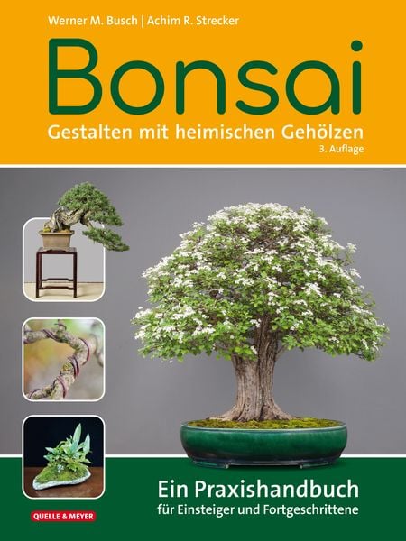 Bonsai - Gestalten mit heimischen Gehölzen, Gebundene Ausgabe von Werner M. Busch,Achim R. Strecker, Quelle & Meyer, 978-3-494-01954-3