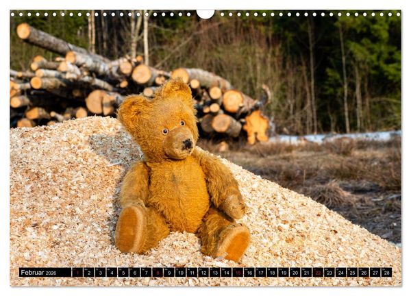 Produktbild: Neue Abenteuer von Teddy Basse (Wandkalender 2026 DIN A3 quer), CALVENDO Monatskalender