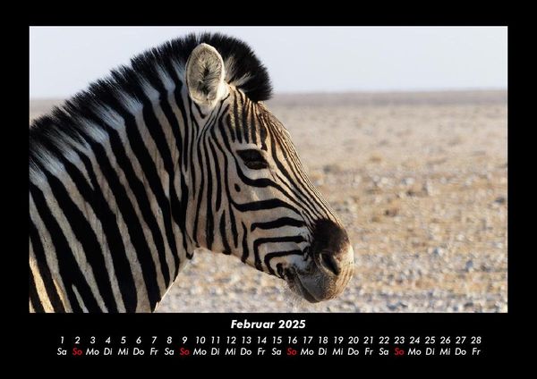 Produktbild: Zebrazauber 2025 Fotokalender DIN A3