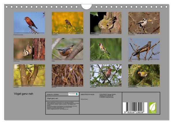 Produktbild: V&ouml;gel ganz nah (Wandkalender 2026 DIN A4 quer), CALVENDO Monatskalender