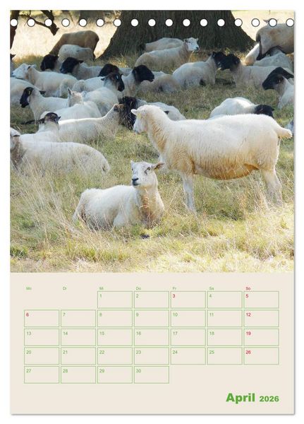 Produktbild: East Anglia - Englands wundersch&ouml;ner Osten (Tischkalender 2026 DIN A5 hoch), CALVENDO Monatskalender