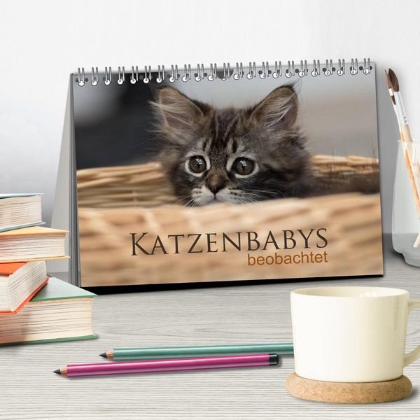Produktbild: Katzenbabys beobachtet (Tischkalender 2026 DIN A5 quer), CALVENDO Monatskalender