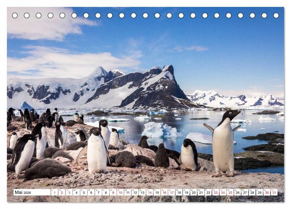 Produktbild: Faszination Antarktis (Tischkalender 2026 DIN A5 quer), CALVENDO Monatskalender