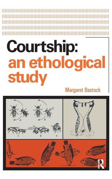 Produktbild: Courtship