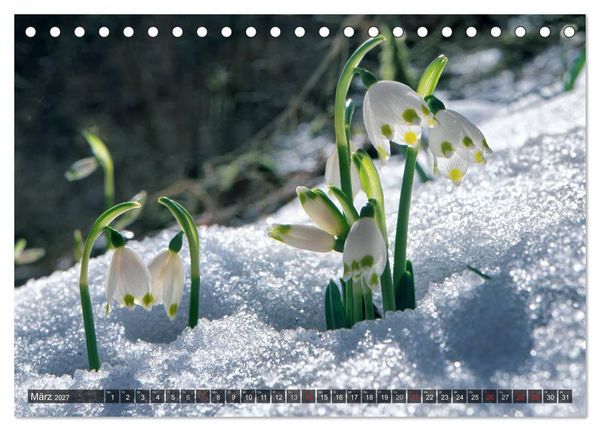 Produktbild: Mein Donautal (Tischkalender 2027 DIN A5 quer), CALVENDO Monatskalender