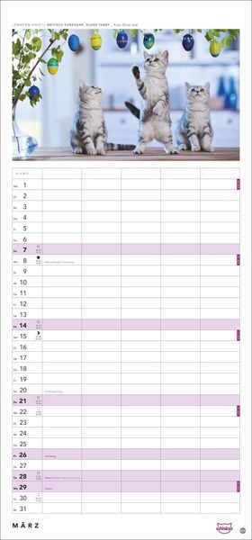 Produktbild: Whiskas Familienplaner 2027