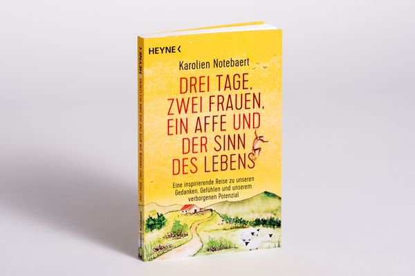 Produktbild: Drei Tage, zwei Frauen, ein Affe und der Sinn des Lebens