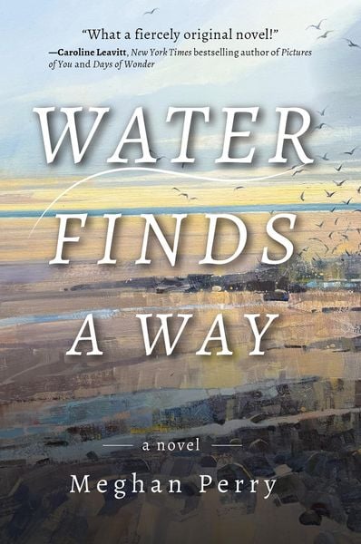 Produktbild: Water Finds a Way a novel
