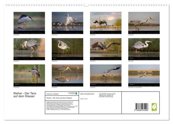 Produktbild: Reiher - Der Tanz auf dem Wasser (hochwertiger Premium Wandkalender 2027 DIN A2 quer), Kunstdruck in Hochglanz