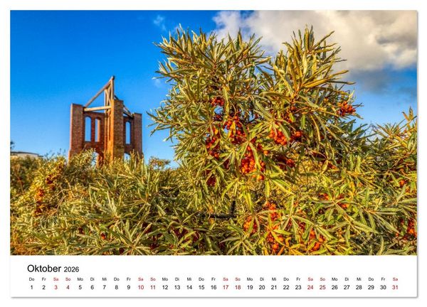 Produktbild: Insel Borkum - Ein Jahr zwischen Wind und Wellen (hochwertiger Premium Wandkalender 2026 DIN A2 quer), Kunstdruck in Hochglanz