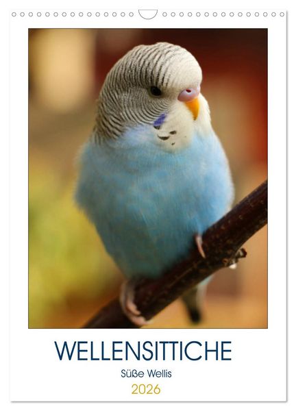 Produktbild: WELLENSITTICHE - S&uuml;&szlig;e Wellis (Wandkalender 2026 DIN A3 hoch), CALVENDO Monatskalender