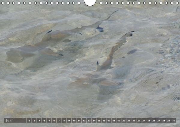 Produktbild: Gili Nanggu - Paradiesische kleine Insel (Wandkalender immerw&auml;hrend DIN A4 quer)