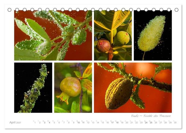 Produktbild: Sehnsucht Provence - Land des Lichts (Tischkalender 2027 DIN A5 quer), CALVENDO Monatskalender