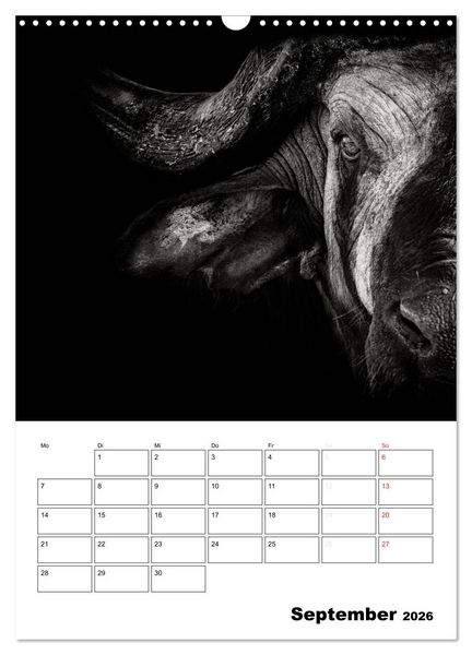 Produktbild: Charakterk&ouml;pfe aus der Welt der Tiere (Wandkalender 2026 DIN A3 hoch), CALVENDO Monatskalender